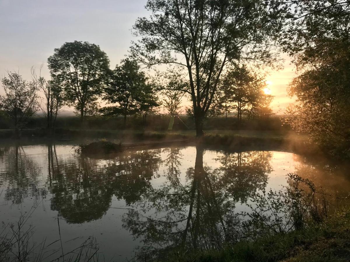 Domaine Des Gallinaces Chalet Sussex 2-4P Marigny-les-Reullee المظهر الخارجي الصورة